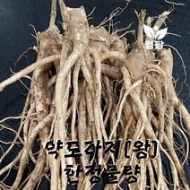 약도라지(왕)한정판매, 10kg/box