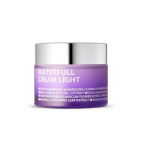 아이소이 BR 워터풀크림 라이트 50ml, 0001 기본상품, 1개