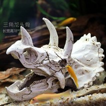 어항수족관 장식 산호사 쉼터 은신처 인공수초 1 pc 수지 해골 대피소 파충류 상자 크리 에이 티브 품, 트리케라톱스