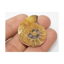 Generic 수석 관찰 달팽이 희귀석 장식품 암모나이트 화석