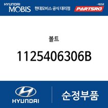 볼트 (1125406306B) 아반떼HD 베라크루즈 뉴 슈퍼 에어로 시티 쏠라티 쏠라티 특장 카운티 제네시스