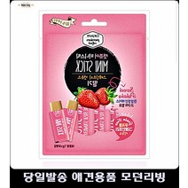 고양이장난감 고양이놀이기구 애완동물스트레스해소 고양이다이어트
