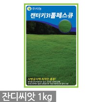 켄터키블루글라스 잔디씨앗 1kg - 잔디씨 잔디 씨 씨앗 양잔디 한국잔디 들잔디 경기장 비행장 골프장 공원 목초용 풀씨, 02_다농_캔터키31톨페스큐(1kg)