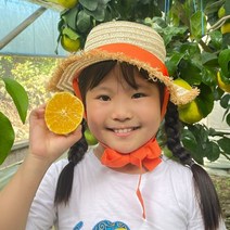 [후기보장] 제주 서귀포 햇 황금향! 꿀당도 가정용/선물용 추석선물세트, 1박스, 황금향3kg 프리미엄과(선물세트)