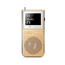 무손실 음원 하이파이 플레이어 iqq hifi mp3 lound speak 및 8gb는 100시간 재생 가능 fm 라디오 지원 내장 는 최대 128gb 휴대용 확장 가능, 협력사, 40GB, 금