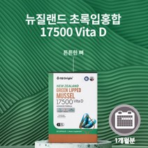 손목 손가락 어깨 사용이 많은 직장인 중년 장년 여성 주부 튼튼한 뼈 를 위한 뉴질랜드 초록입 홍합 캡슐 17500mg, 1BOX(1개월분)