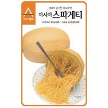 (씨앗) 스파게티 호박(국수호박) 씨앗 - 25립