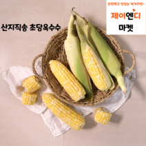 [5월10일 첫 출하] 100일의 기다림 초당옥수수 16cm이상 특품 5개 10개 예약, 20개