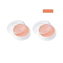 미쯔요시 그리스 페인트 컨실러 파운데이션 25P 수지 컨실러 2개