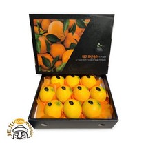 명절 후 배송 제주 화산송이 황금향 2kg (선물용 6-12과 실중량) -인증