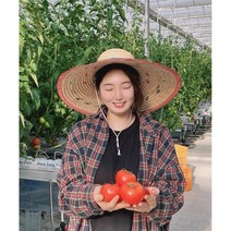 청년 농부가 키운 완숙 토마토 5kg 쥬스용 요리용 못난이, 특품혼합(크기 혼합)