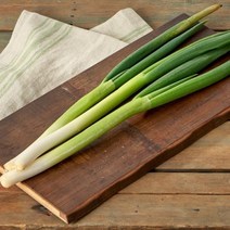 소용량 깐대파 200G 깐쪽파 유기농쪽파, 기본