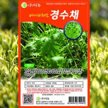 경수채 씨앗 경수채 씨 종자 10g, 단품
