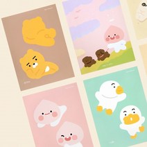 체크카드 교통카드 신용카드 커스텀 폰꾸 다꾸 라이언 어피치 스티커 포카 꾸미기 폴꾸 탑꾸