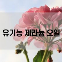 (무료배송) 코슬로우 유기농 로즈 제라늄 아로마 오일 / 유기농 에센셜오일 / geranium