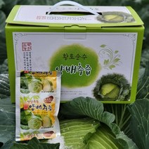 (산지직송)듬뿍농원 겉잎까지 찐하게 달인 무안 양배추즙 50포 100ml