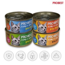 프로베스트 캣푸드 고양이 간식캔, 80g, 24개입, 참치 + 연어 혼합맛