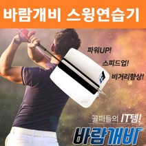 바람개비 골프 스윙 연습기 스틱 골프채 비거리스틱2 헤드 스피드 집에서 힌지 코킹 치킨윙