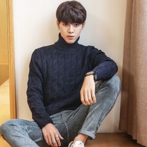 남자목폴라 두꺼운 터틀넥 폴라티 니트 목티 꽈배기 N016