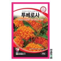 투베로사 50립 / 꽃씨 화단 꽃밭 정원 베란다텃밭 투베로사씨앗 다년생꽃씨앗