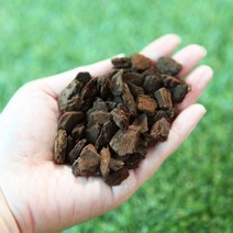 오키아트 바크 소 중 대 특대 특특대 나무껍질 뉴질랜드, 바크2L (특특대)18-25mm