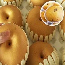 참과일 유명산지 나주 신고배(가정용), 1박스, 5kg 6-10과
