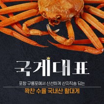 프리미엄 박달대게 700g (1마리 기준)