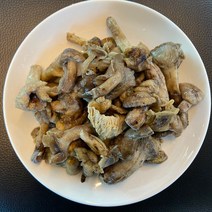 가하푸드영농조합 자연산 염장 밤버섯 1통(25kg), 1개