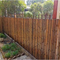 대나무울타리 담장 정원울타리 야외대나무 펜스, 가벼운 대나무 폭 100x높이 100 (삼중방청)