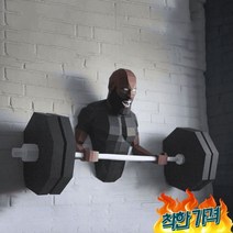 장인테리어 역도 벽면 입체 장식 드림 캐쳐