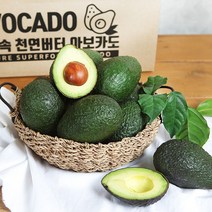 [오늘출발] 장보남 아보카도 대과 10개 /우체국택배, 1박스, 아보카도 대과 10과(개당200g내외)