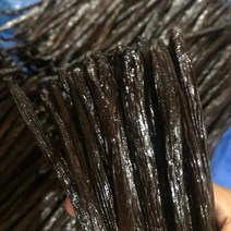 버번 바닐라빈 고메등급 18~24cm 250g, 1개