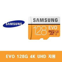 삼성전자 에듀플레이어 에듀플D 시즌2 메모리카드 EVO 128G, 128GB