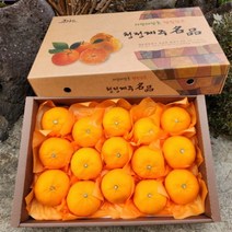 제주 프리미엄 천혜향 레드향 한라봉 백화점 제주도 2kg 3kg 5kg 산지직송 선물용 가정용 과일 설날 설 명절선물세트, 레드향 가정용3kg 7~16과