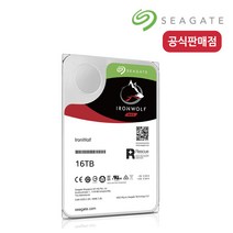 씨게이트 아이언울프 하드디스크 NAS용 HDD, ST16000VN001, 16TB