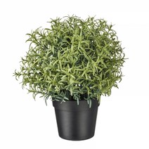 이케아 FEJKA 페이카 인조식물 로즈메리 9cm 403.821.15