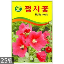 강낭콩 2g - 콩 씨 씨앗 강낭콩씨앗 강남콩씨앗 강낭콩씨, 17_청농_접시꽃(25립)