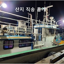 포항 구룡포 홍게 산지직송 시세 라면 자숙 먹는법 수산 제철 홍개 주문 택배 활홍게 동해, 일반형 1.5KG
