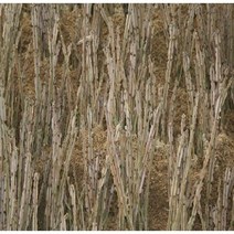 국산 야생 화살나무차 귀전우 참빗살나무 차 1단, 화살나무 1단 (150~200g), 화살나무 1단 (150~200g)
