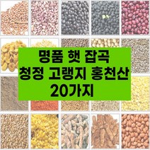 국산 햇 잡곡 20종 고랭지 강원도 홍천산 잡곡 참깨 수수쌀 호랑이줄단콩 약콩 서리태 적두 들깨 능근옥수수 밤쌀 백태 볶음땅콩 깐녹두 둥굴래 자연산, 햇나물:11.건아주까리100g
