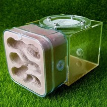 사육세트 미니 석고 개미 둥지 아크릴 농장 Diy 교육 완구 애완 동물 곤충 케이지 생일 선물 Anthill House 곤충 키우기, 05 Purple