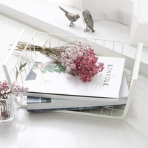 어반 와이어 멀티바스켓(걸이형), 옵션선택:어반크림, 단품