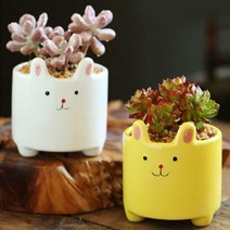컬러 토끼 미니 화분(공화분) 작은 꽃화분, 노랑