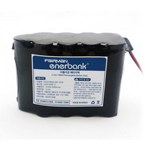 페어맨 에너뱅크 리튬이온 배터리팩 KC 인증 팩 모음, 리튬이온 배터리팩 10.95V 8250mAh 3S3P, 1개, 1개