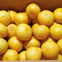 제주 황금향 과즙가득 가정용 선물용, 황금향 가정용 4.5kg 2박스(중소과)