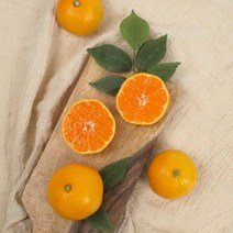 제주직송 고당도 하우스 감귤 1.5kg 2.5kg 4.5kg 꼬마소과 로얄과, 2.5kg 꼬마소과, 1개