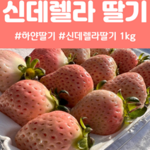하얀딸기 1kg 신데렐라 딸기 500g x 2팩