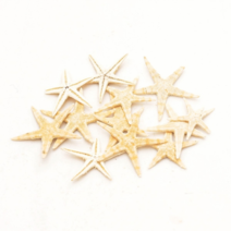 오꿈 조개모형 조개껍데기 100g, D06 불가사리 (중), 1봉