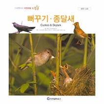 뻐꾸기 종달새-63(다큐멘터리 자연 관찰 트윙클)
