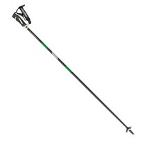 마스터즈 스키 카본 폴 (MASTERS ST CARBON BLACK LIME)